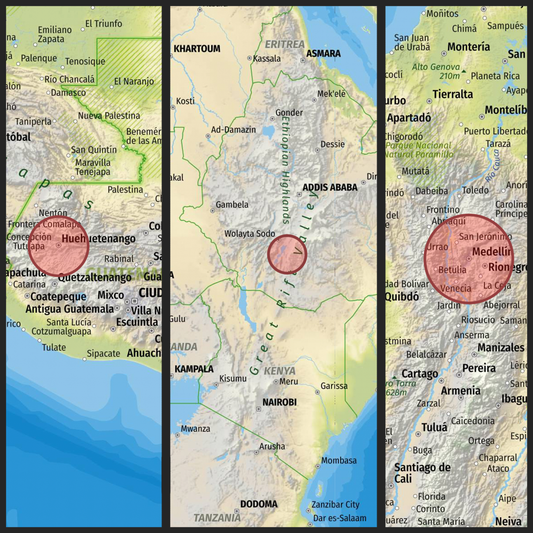 Single Origin Coffee vs Blends